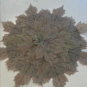 Pier 1 Fall Leaf Table Placemat NWT